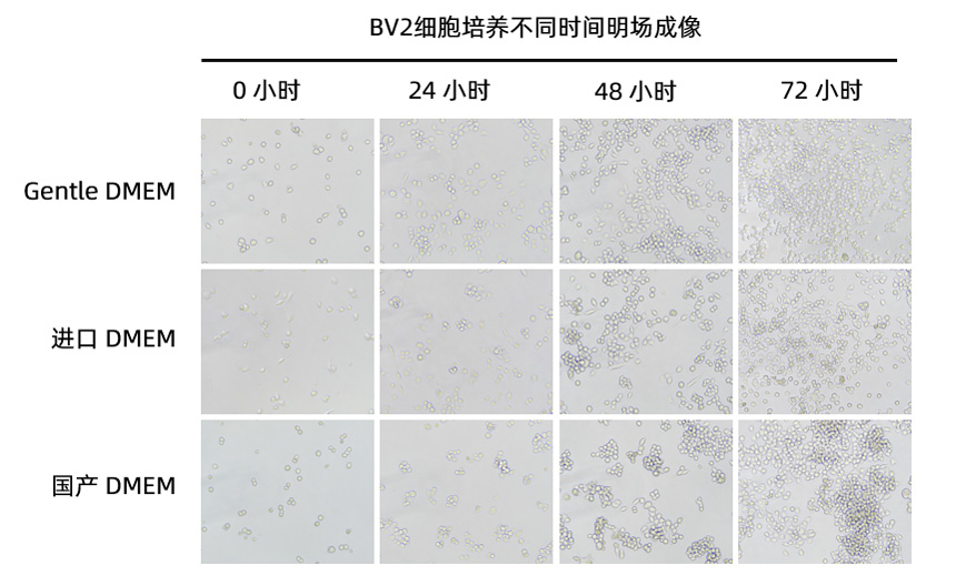 高糖cn.jpg