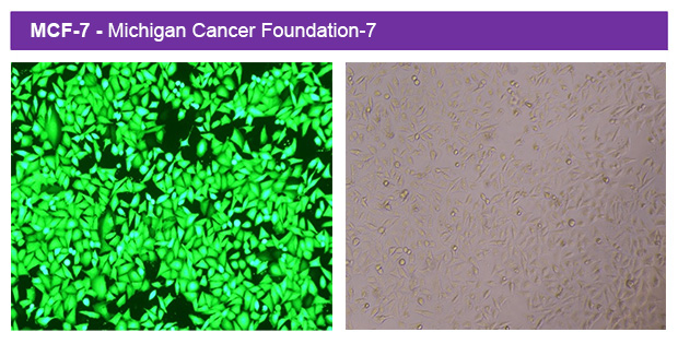 1767065219939972.jpg ut300-2.jpg