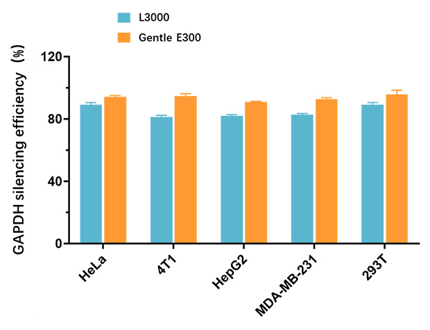 1767065245242008.jpg tu300-5.jpg
