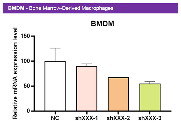 1767065381815960.jpg Macro300-1.jpg