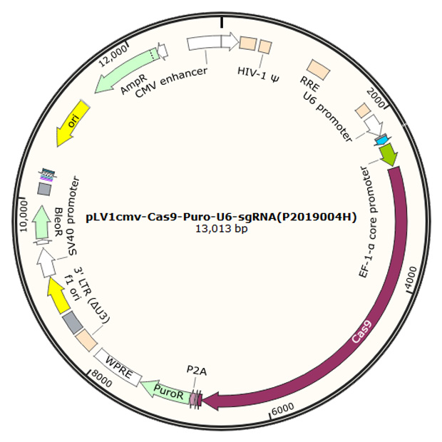 1773494472108333.jpg 未标题-1.jpg