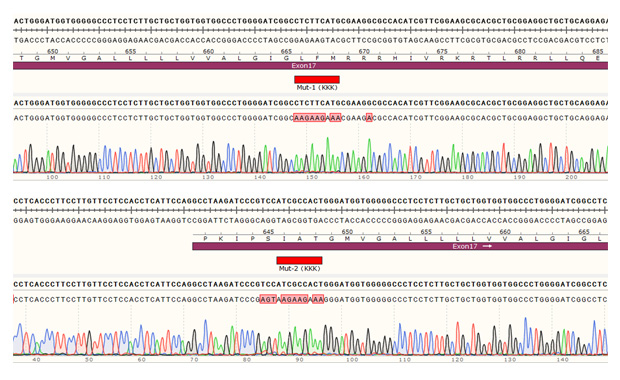 1773499922839021.jpg 9.jpg