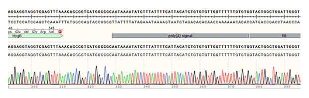 1773499929454654.jpg 10.jpg